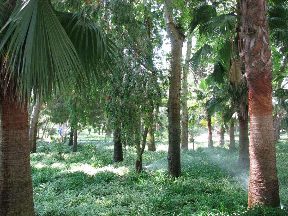 imagini hotel DELPHIN BOTANIK